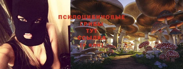 а пвп мука Алзамай
