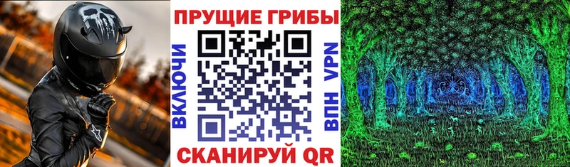 Псилоцибиновые грибы Psilocybine cubensis  что такое наркотик  Карабулак 