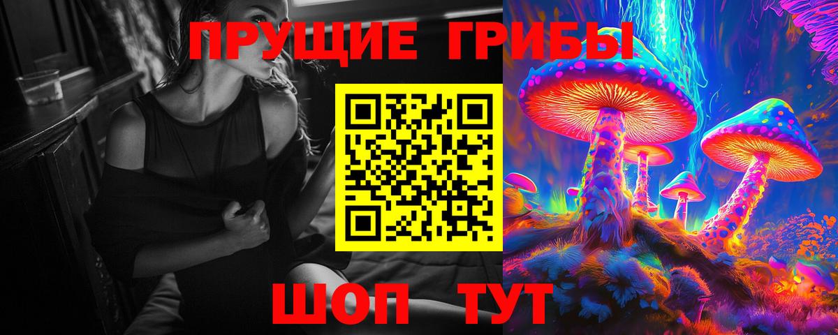 Карабулак  Псилоцибиновые грибы мицелий  купить  цена  Вход с VPN 