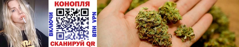 дарнет шоп  kraken tor  Бошки марихуана White Widow  Карабулак 